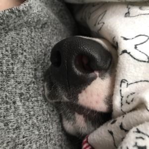 Meet your Posher, Maura